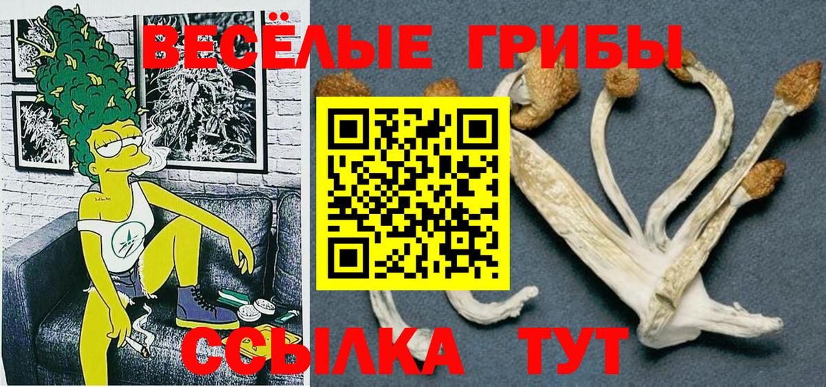 Галлюциногенные грибы ЛСД  Вход с VPN  Лесосибирск  Галлюциногенные грибы прущие грибы 
